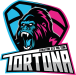 Logo_Tortona_Evolution3x3